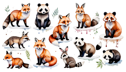 dgehog rabbit panda white raccoon fox set watercolour animal fawn illustration watercolor easter wildlife hedgehog baby background