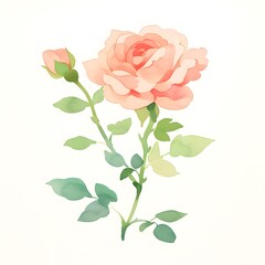 Obraz premium Pink roses, watercolor painting. Generative AI