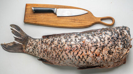 Obraz premium Gutted carp fish, headless on a white table with a cutting board and a knife.