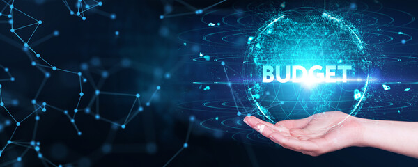 Budget capital finance economy investment money concept. 3d illustration