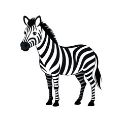 cute zebra 