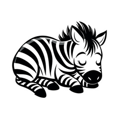 cute zebra 