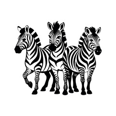 Fototapeta premium cute zebra 