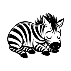 cute zebra 
