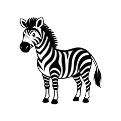 cute zebra 