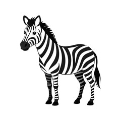 cute zebra 