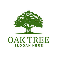OAK TREE LOGO DESIGN TEMPLATE