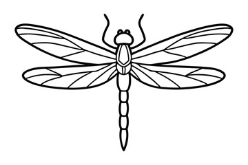 Dragonfly line art vector illustration.eps