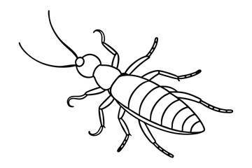 Earwig line art vector illustration.eps