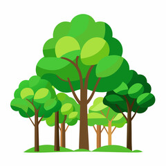 green tree isolated on white vector