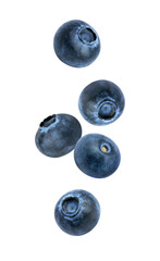 blueberries falling isolated
