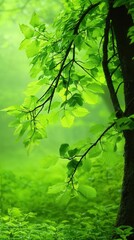 Fototapeta premium Lush greenery in a misty forest nature tranquil environment close-up view serenity concept