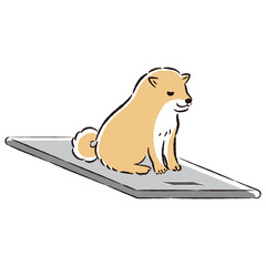 体重計に乗る犬のイラスト
