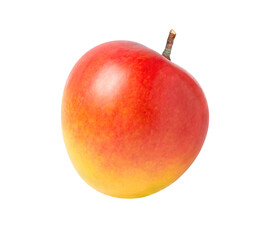 red mango isolated on white