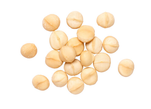 Macadamia nut isolated on white