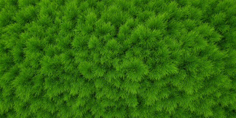 Lush Green Grass Texture Background Image