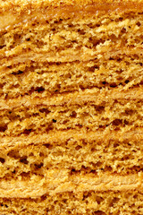 close-up photo of a piece of dessert