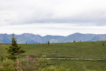 Mountain landscape in Denali National Park