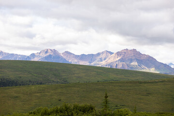 Naklejka premium Mountain landscape in Denali National Park