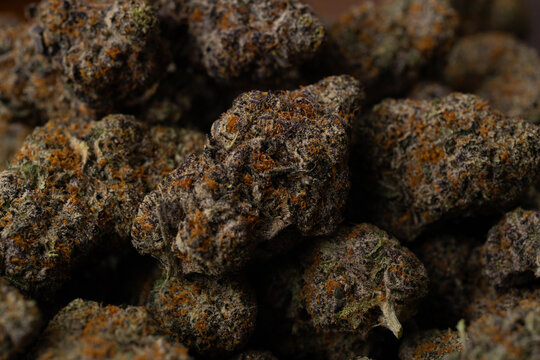 Close Up of Cannabis Flowers