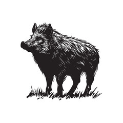Fototapeta premium wild boar vector illustration