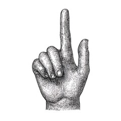 Hand pointing up; index finger extended.