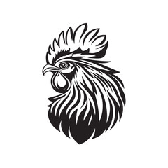 rooster isolated on white background