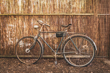 Fototapeta premium retro rower