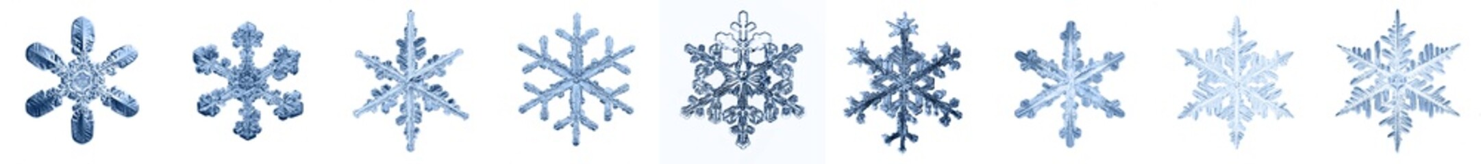 set of snowflakes on a white background, real photos natural crystals macro photo isolated on white