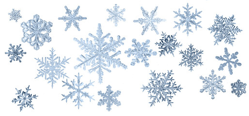 set of snowflakes on a white background, real photos natural crystals macro photo isolated on white