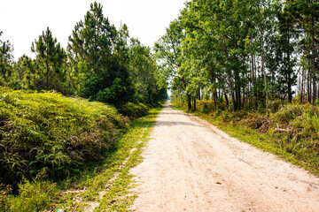 山頂の道(タイ)