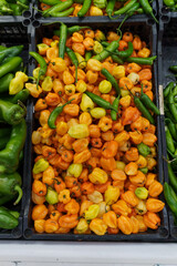 Variety of chili peppers on supermarket shelves in Mexico.