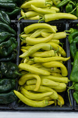 Variety of chili peppers on supermarket shelves in Mexico