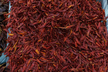 Tree chile on supermarket shelves.Variety of chili peppers on supermarket shelves in Mexico
