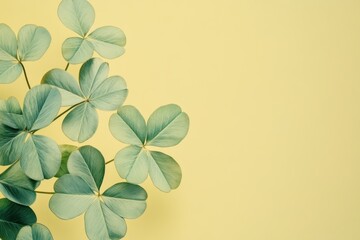 Fototapeta premium Small Green Four-Leaf Clover for Good Luck on St. Patrick's Day Isolated Background