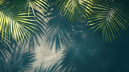 Lush green palm leaves cast shadows on a textured teal background, creating a tropical backdrop.