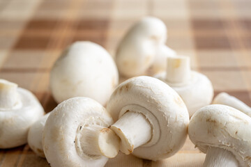 Fresh white mushroom button (Agaricus bisporus)  close up.