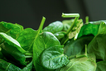 Fresh green spinach leaves. Texture of raw organic baby spinach close up.