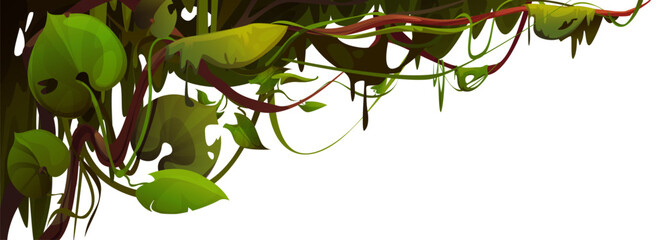 Liana vine border isolated on white. Vector cartoon illustration of jungle plants hanging on tree branches, green foliage frame for tropical adventure game landscape, exotic garden, floral banner © klyaksun