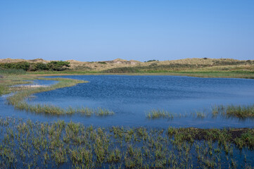 A lake in the dune nature reserve