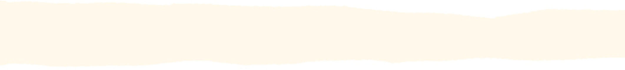 Paper scraps. Torn pieces of paper, with torn edges for notes, realistic torn pieces of blank note pages. Vector illustration isolated. Vector illustration