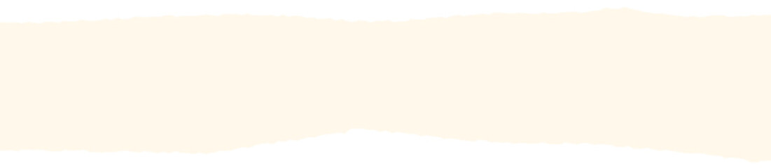 Fototapeta premium Paper scraps. Torn pieces of paper, with torn edges for notes, realistic torn pieces of blank note pages. Vector illustration isolated. Vector illustration