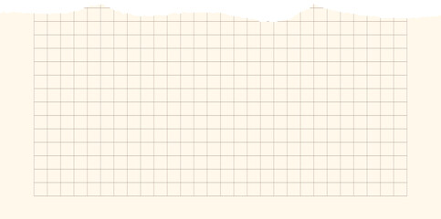 Paper scraps. Torn pieces of paper, with torn edges for notes, realistic torn pieces of blank note pages. Vector illustration isolated. Vector illustration