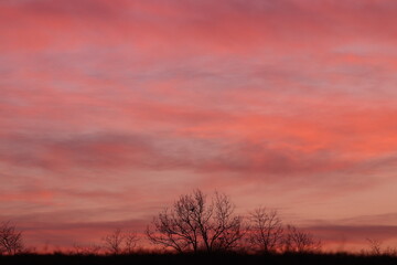 Fototapeta premium panorama al tramonto con alberi e cielo rosso e nuvole