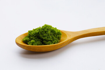 Fresh water alga, water meal or swamp algae