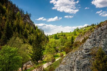 Pieniny. Rezerwat Biała Woda.