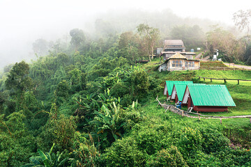 Beautiful green mountain forest landscape covered with fog in northern Thailand.