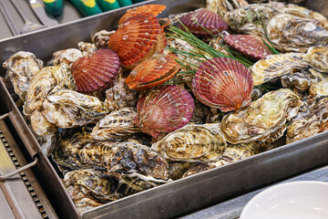 Korean seafood food. Steamed oysters and scallops
