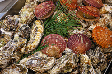 Korean seafood food. Steamed oysters and scallops