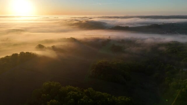 Aerial view of Bordeaux vineyard at sunrise spring under fog, Rions, Gironde, France. High quality 4k footage